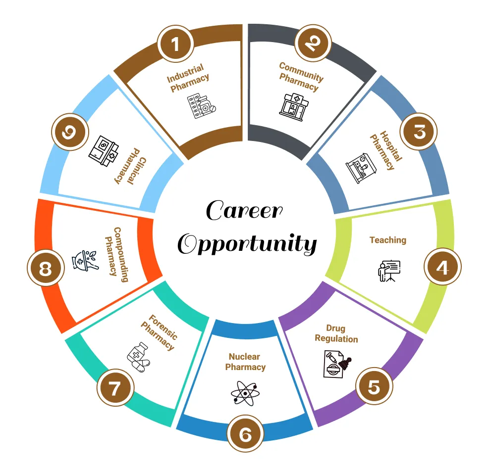 B.Pharm Career Opportunities Chart
